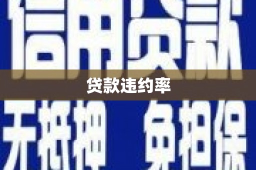 南皮贷款违约率