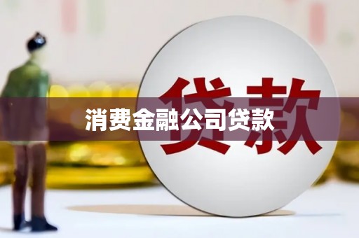 南皮消费金融公司贷款