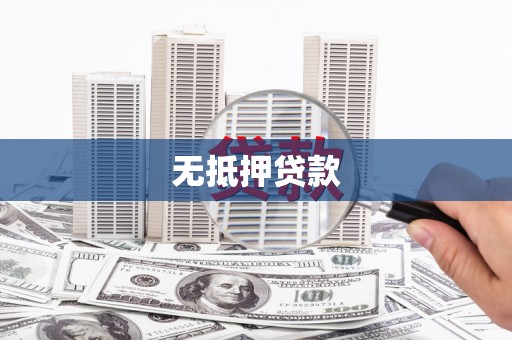 南皮无抵押贷款