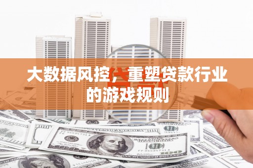 南皮大数据风控，重塑贷款行业的游戏规则