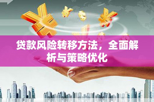 南皮贷款风险转移方法，全面解析与策略优化