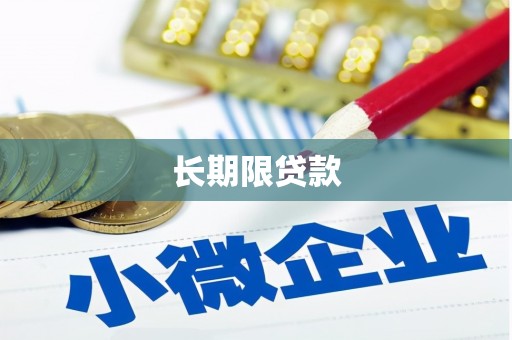 南皮长期限贷款