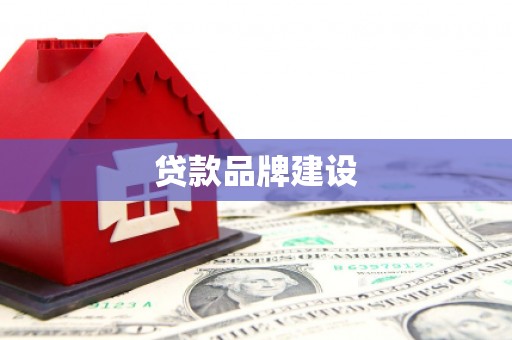 南皮贷款品牌建设