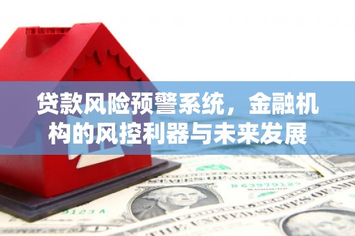 南皮贷款风险预警系统，金融机构的风控利器与未来发展