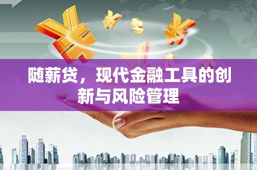 南皮随薪贷，现代金融工具的创新与风险管理