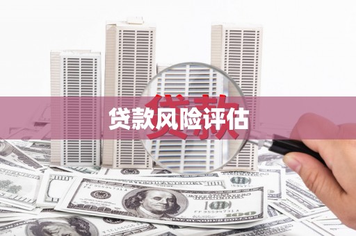 南皮贷款风险评估