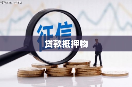 南皮贷款抵押物
