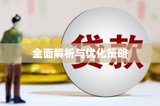 南皮全面解析与优化策略