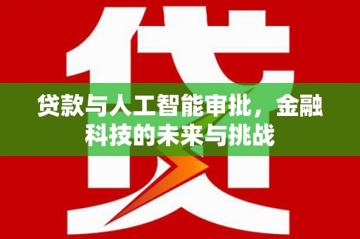 南皮贷款与人工智能审批，金融科技的未来与挑战