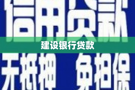 南皮建设银行贷款