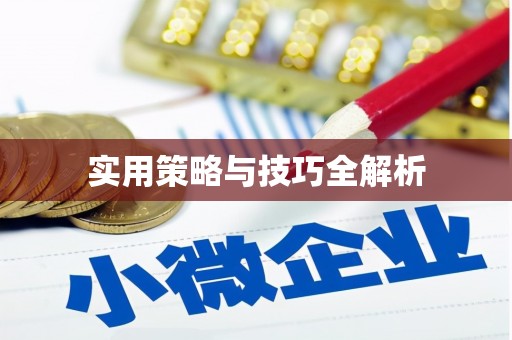 南皮实用策略与技巧全解析