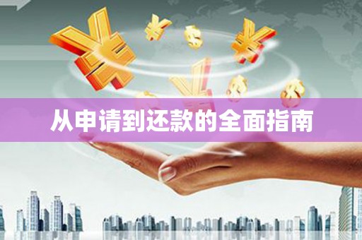 南皮从申请到还款的全面指南