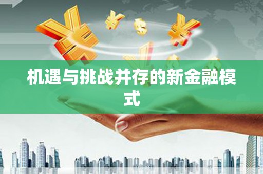 南皮机遇与挑战并存的新金融模式