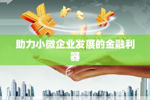 南皮助力小微企业发展的金融利器