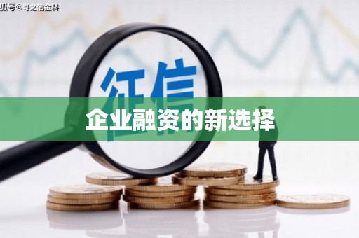 南皮企业融资的新选择