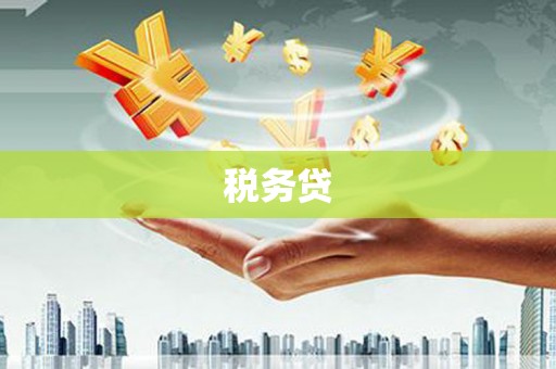 南皮税务贷