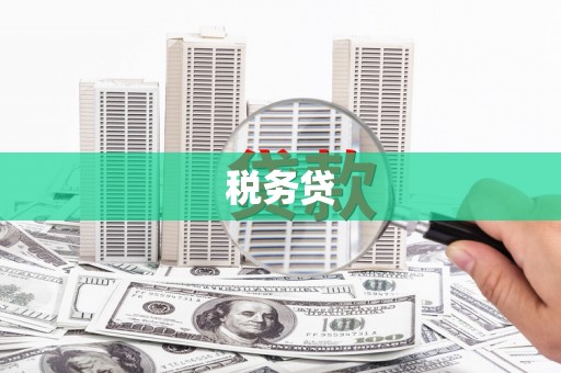 南皮税务贷
