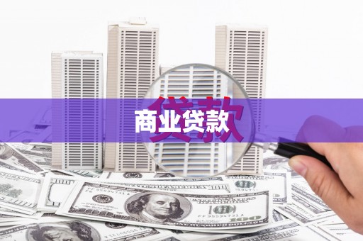 南皮商业贷款