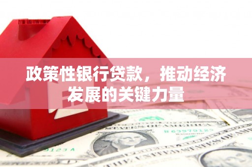 南皮政策性银行贷款，推动经济发展的关键力量