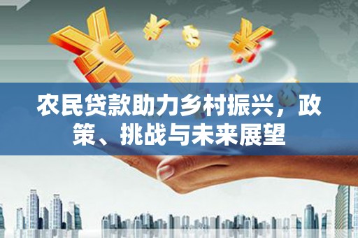 南皮农民贷款助力乡村振兴，政策、挑战与未来展望