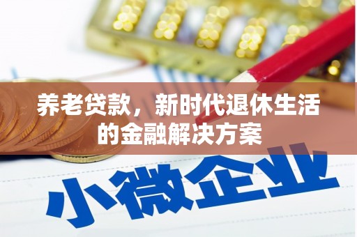 南皮养老贷款，新时代退休生活的金融解决方案