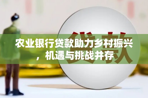 南皮农业银行贷款助力乡村振兴，机遇与挑战并存