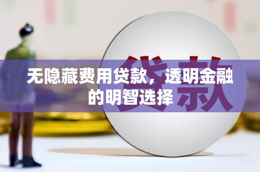 南皮无隐藏费用贷款，透明金融的明智选择