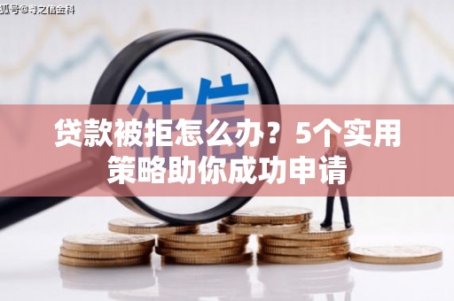 南皮贷款被拒怎么办？5个实用策略助你成功申请