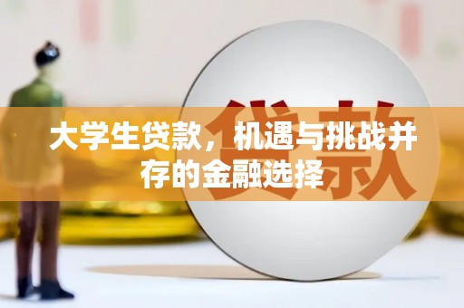 南皮大学生贷款，机遇与挑战并存的金融选择