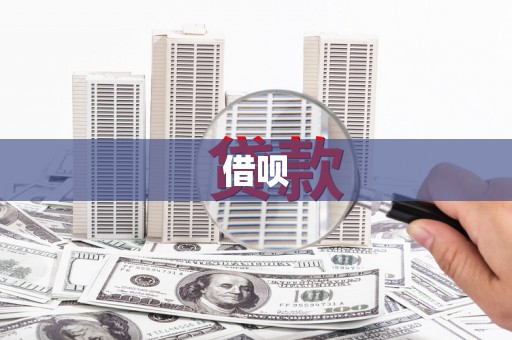 南皮借呗