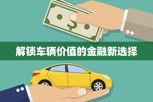 南皮解锁车辆价值的金融新选择