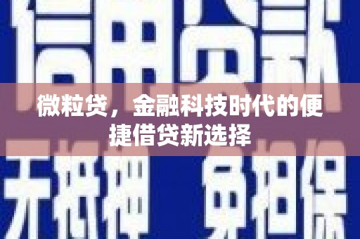 南皮微粒贷，金融科技时代的便捷借贷新选择