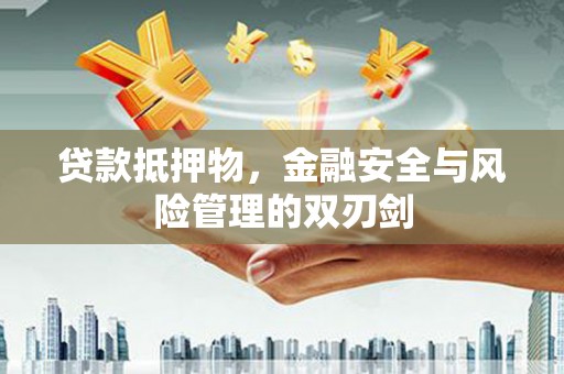 南皮贷款抵押物，金融安全与风险管理的双刃剑