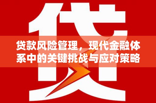 南皮贷款风险管理，现代金融体系中的关键挑战与应对策略