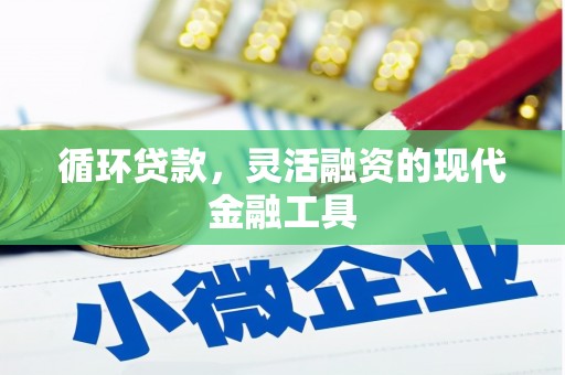 南皮循环贷款，灵活融资的现代金融工具