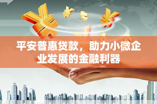 南皮平安普惠贷款，助力小微企业发展的金融利器