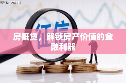 南皮房抵贷，解锁房产价值的金融利器