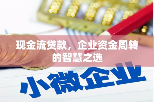 南皮现金流贷款，企业资金周转的智慧之选