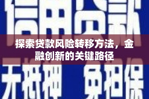 南皮探索贷款风险转移方法，金融创新的关键路径