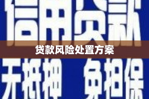 南皮贷款风险处置方案