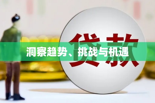南皮洞察趋势、挑战与机遇