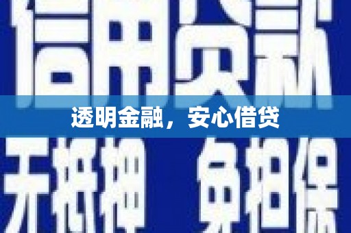 南皮透明金融，安心借贷