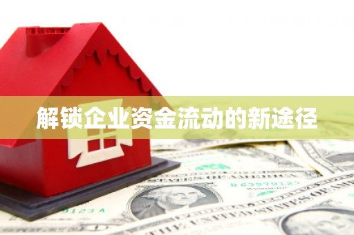 南皮解锁企业资金流动的新途径