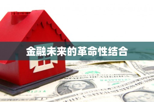 南皮金融未来的革命性结合