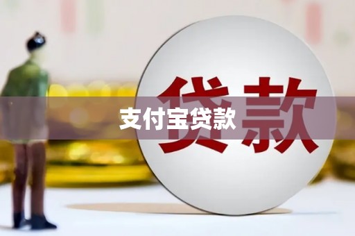 南皮支付宝贷款
