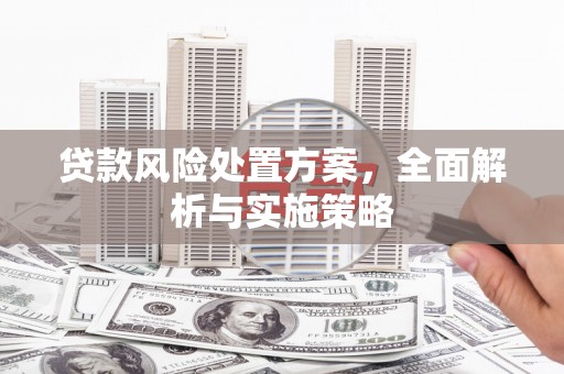 南皮贷款风险处置方案，全面解析与实施策略