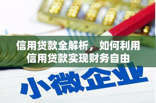 南皮信用贷款全解析，如何利用信用贷款实现财务自由