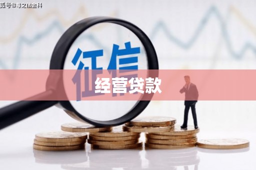 南皮经营贷款