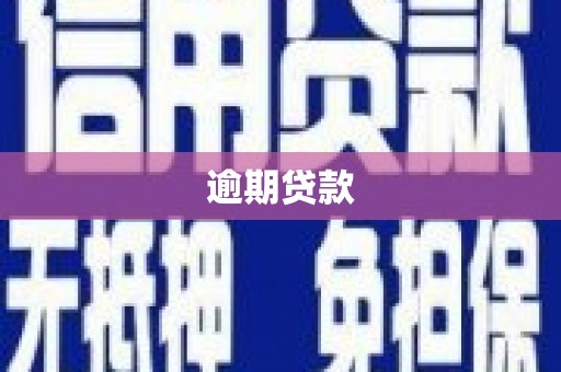 南皮逾期贷款