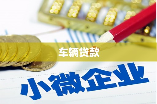 南皮车辆贷款